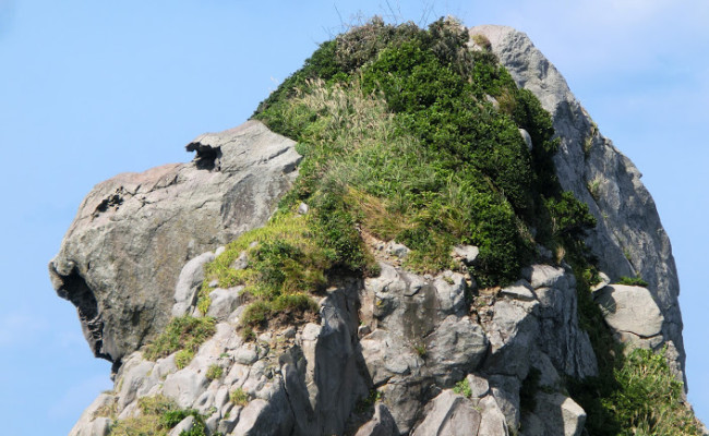 人間が作った？自然に出来た？「壱岐の猿岩」を超どアップで見てみた→あら？かわいい！