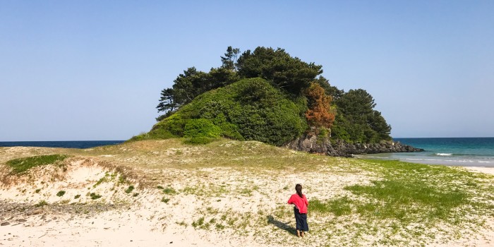 古代文明はビーチでバーベキューしていたか？「大久保遺跡」で土器発見！