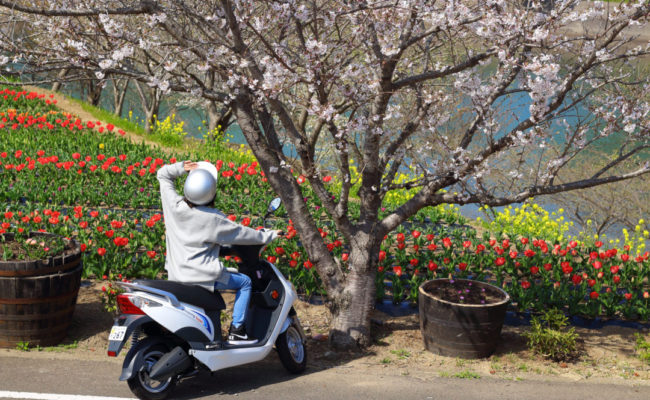 壱岐島のSDGs！レンタル電動バイク「イキエコ」で春の風を感じた！
